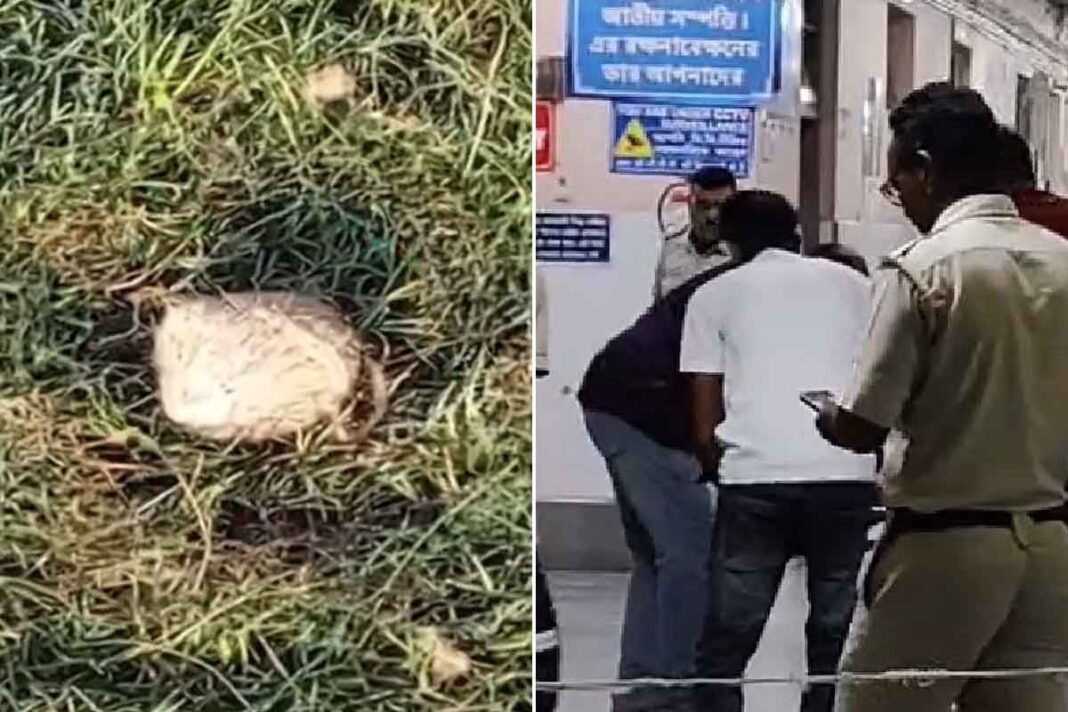 জুয়ার ঠেকে হানা দিতেই টার্গেট পুলিশ! দুষ্কৃতীদের ছোঁড়া বোমায় আক্রান্ত এএসআই জুয়ার ঠেকে হানা দিতেই টার্গেট পুলিশ! দুষ্কৃতীদের ছোঁড়া বোমায় আক্রান্ত এএসআই